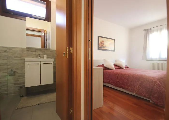 Vr - Simba * 维罗纳