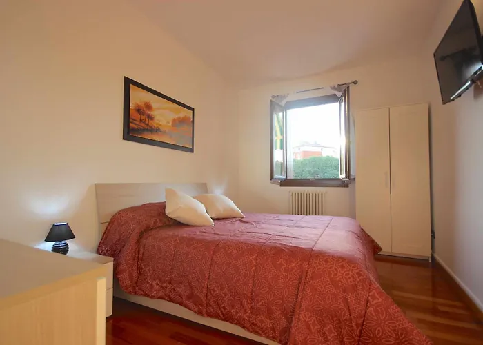 Vr - Simba 维罗纳