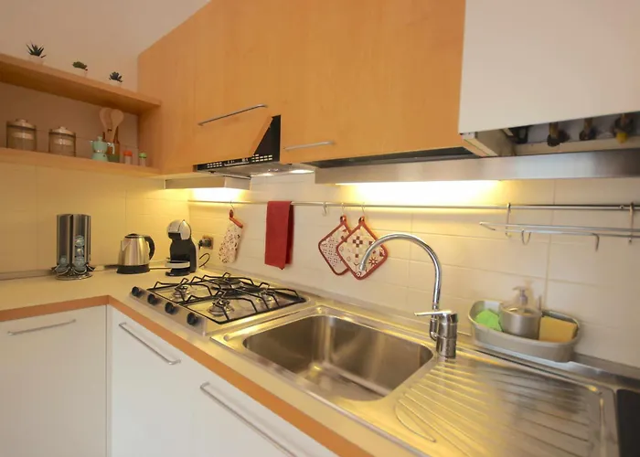 Vr - Simba * 维罗纳