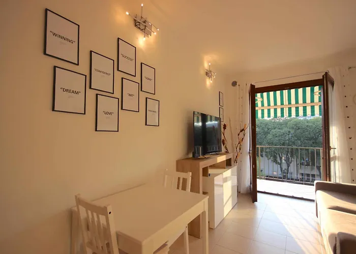 Vr - Simba 维罗纳